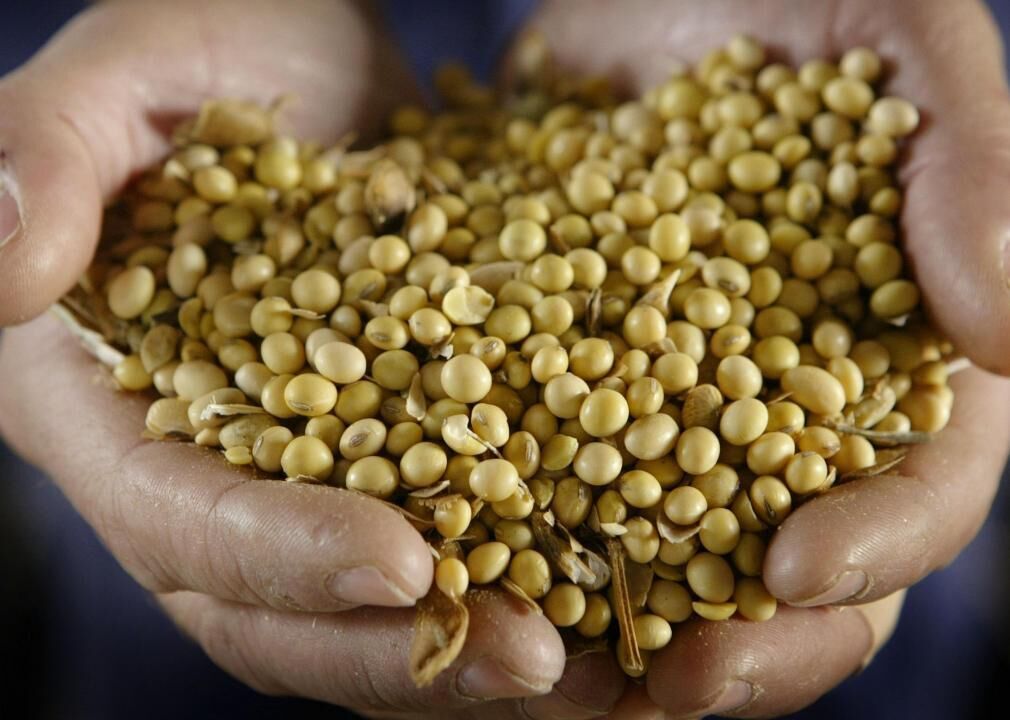 1996: FDA mandates addition of folic acid to enriched grain